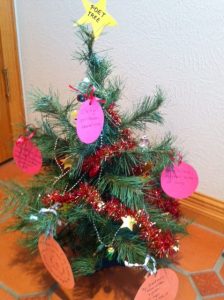 photo(15)
